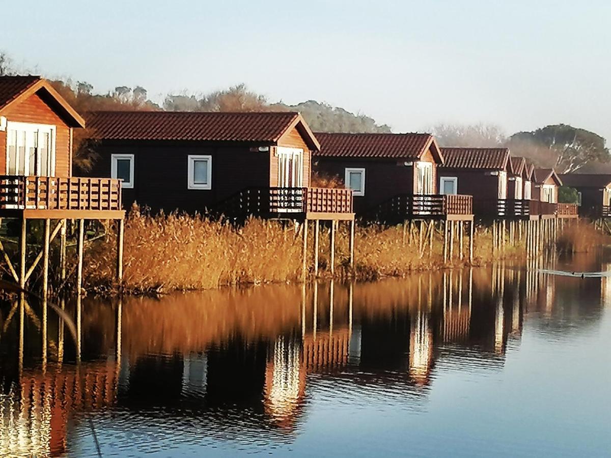 Barrinha_Village Praia de Mira Kültér fotó