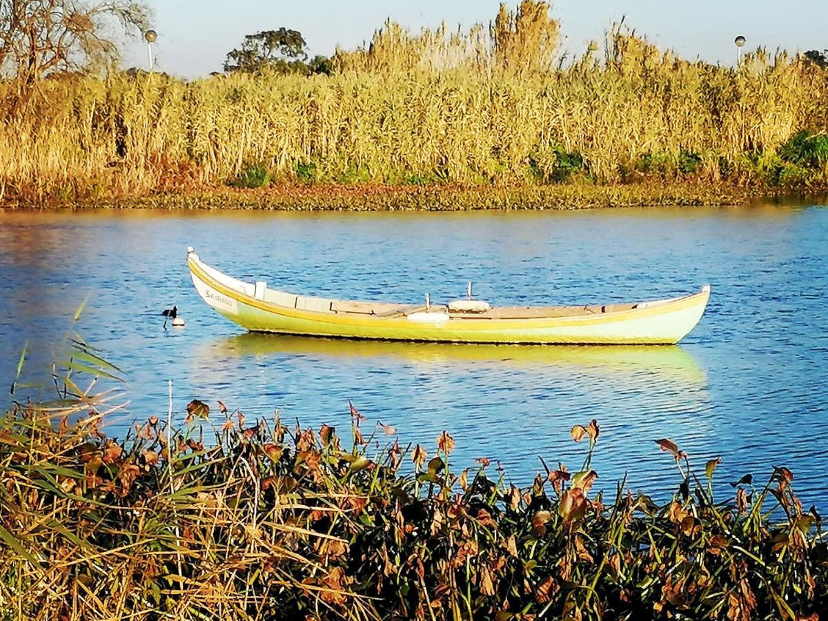 Barrinha_Village Praia de Mira Kültér fotó
